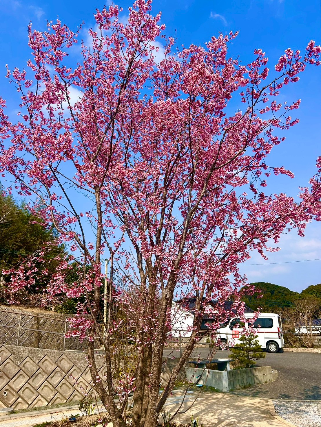 横画像05